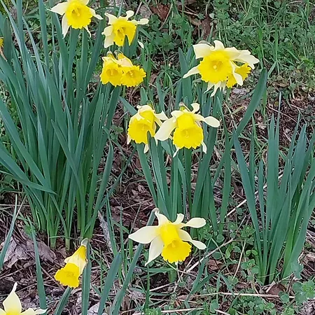 La Ch'tiote Meizou Séjour à la campagne Mazet-Saint-Voy